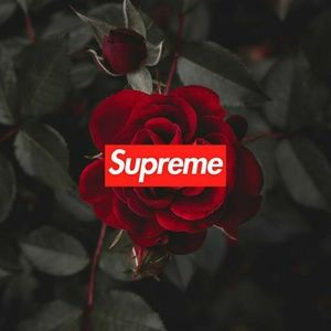 Meet your Posher, Nathan